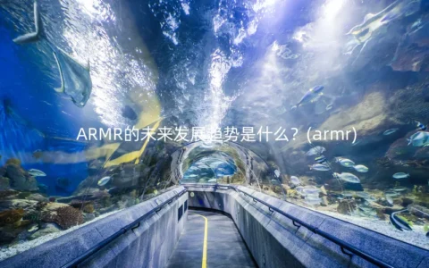 ARMR的未来发展趋势是什么？(armr)